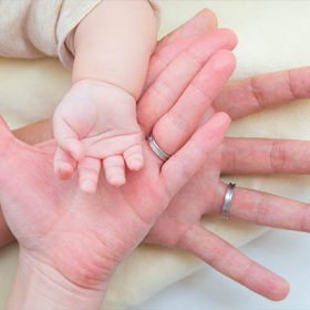 横浜市港北区に出張撮影した赤ちゃんとママとパパの手