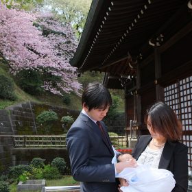 山桜咲く神社で撮ったお宮参り記念日の家族写真